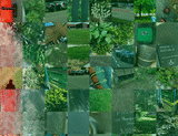 Afghanistan_detail_2_t.gif
