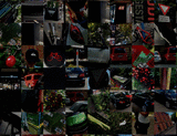 Afghanistan_detail_3_t.gif