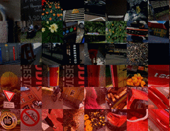 Germany_detail1_t.gif
