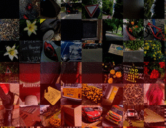 Germany_detail3_t.gif