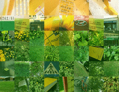 Kurdistan_detail3_t.gif
