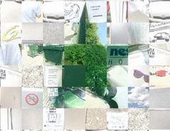 Syria_detail1_t.gif