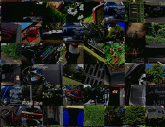 Syria_detail3_t.gif