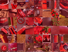 Syria_detail4_t.gif