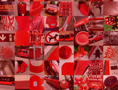 Turkey_detail3_t.gif
