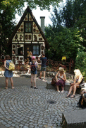 DSC09518_t.gif