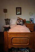 DSC09524_t.gif