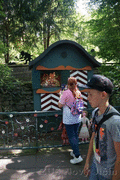 DSC09527_t.gif