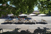 DSC09548_t.gif