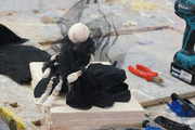 DSC09561_t.gif