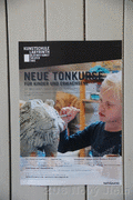 DSC09564_t.gif