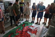 DSC09591_t.gif