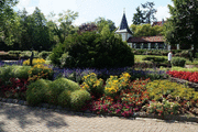 DSC09779_t.gif