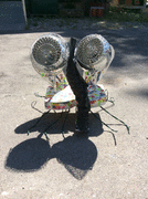 IMG_0168_t.gif