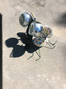 IMG_0169_t.gif