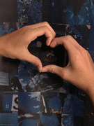 IMG_2132_t.gif
