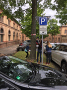 IMG_0311_t.gif
