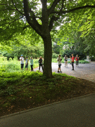 IMG_0323_t.gif