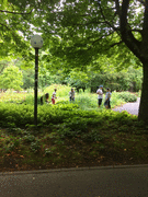 IMG_0325_t.gif