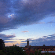 IMG_0346_t.gif