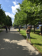 IMG_0357_t.gif