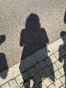IMG_0370_t.gif