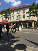 IMG_0371_t.gif