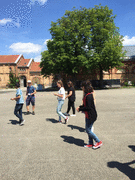 IMG_0486_t.gif