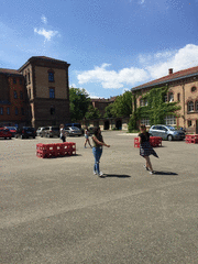 IMG_0490_t.gif