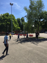 IMG_0492_t.gif