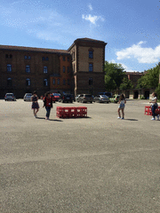 IMG_0494_t.gif