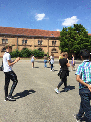 IMG_0498_t.gif