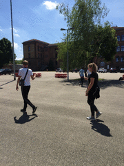 IMG_0501_t.gif
