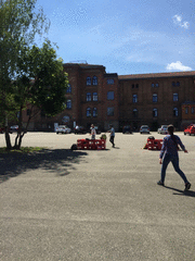 IMG_0503_t.gif