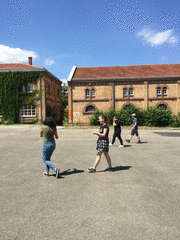 IMG_0505_t.gif