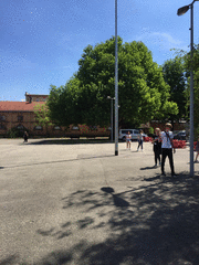 IMG_0509_t.gif