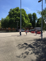 IMG_0511_t.gif