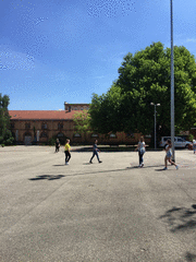 IMG_0512_t.gif