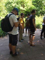 IMG_0518_t.gif