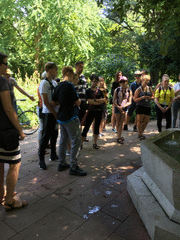 IMG_0520_t.gif