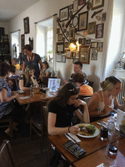 IMG_0526_t.gif