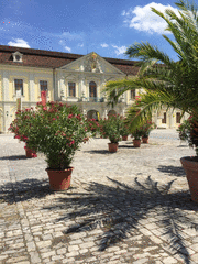 IMG_0535_t.gif