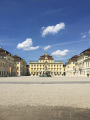 IMG_0539_t.gif