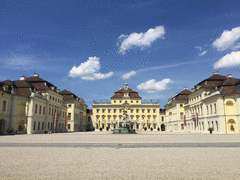 IMG_0540_t.gif