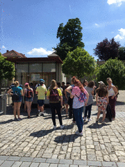 IMG_0541_t.gif