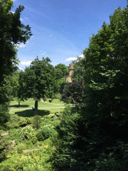 IMG_0542_t.gif