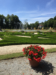 IMG_0545_t.gif
