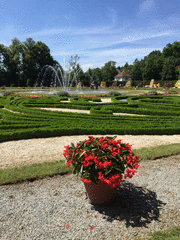 IMG_0547_t.gif