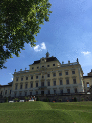 IMG_0548_t.gif