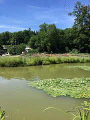 IMG_0549_t.gif